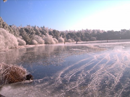Ouder worden, 20 oktober 2016, 55 jaar