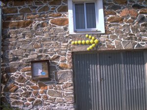 De pelgrim hoeft niet te verdwalen als hij maar de gele pijlen volgt.