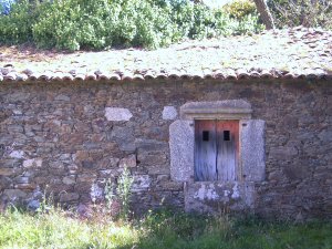 Wanneer je oud en grijs en slaperig bij het haardvuur knikkebolt, droom er dan van hoe zacht je blik ooit was, hoe schaduwdiep je ogen. Yeats