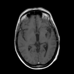 Wij moeten een nieuwe filosofie ontwikkelen. Edwin Muir